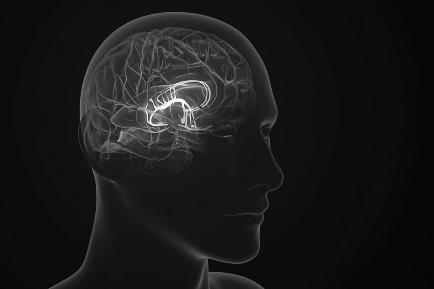 Praxisorientierte KI-Ausbildung mit modernen Lernmethoden und individueller Unterstützung