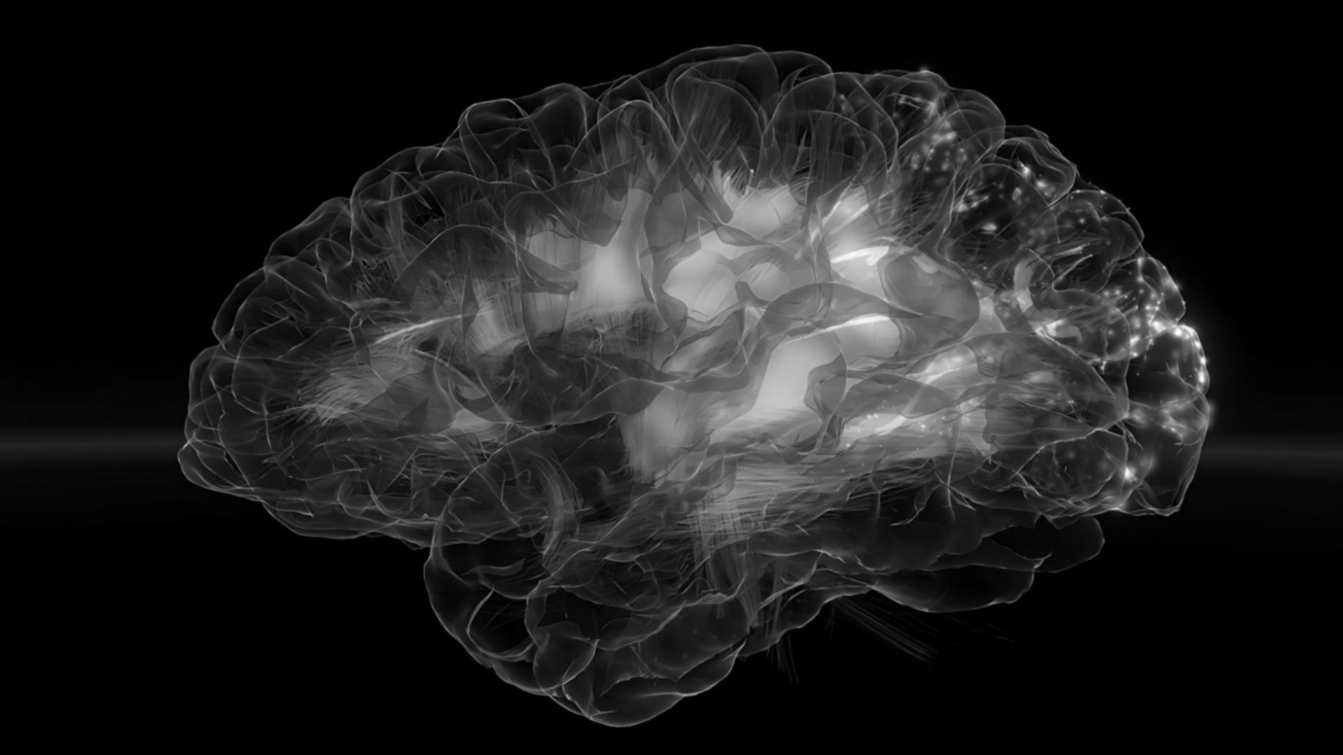 Anwendung von KI-Methoden in realen beruflichen Szenarien